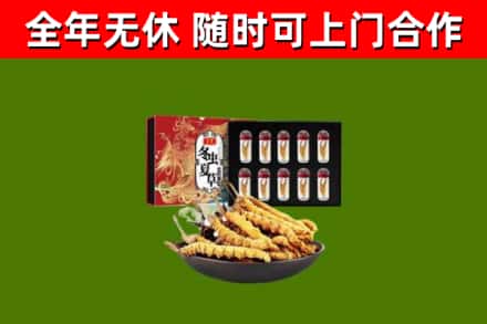 阜沙镇回收冬虫夏草价格