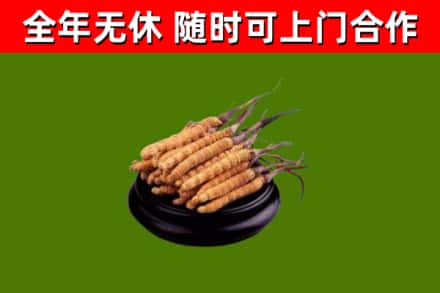 阜沙镇烟酒回收冬虫夏草.jpg